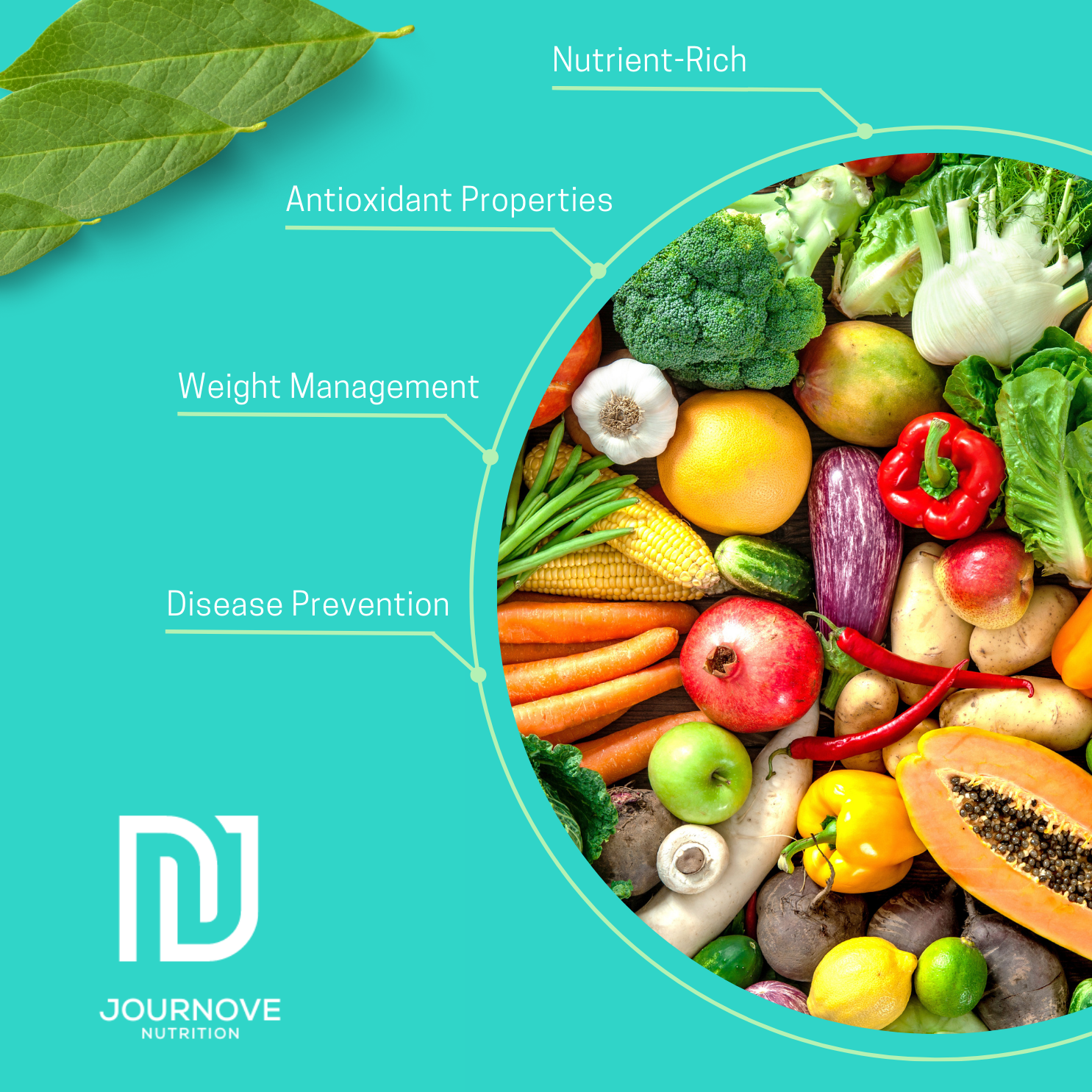 Journove photo of a nutritional information about vegetables and the importance of eating healthy